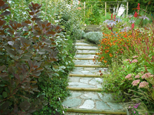 P2 Gestaltung mit Pflanzen